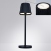 ARTE LAMP FUYUE A1616LT-1BK