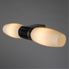 ARTE LAMP AQUA-BASTONE A1209AP-2CC