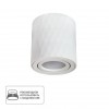 ARTE LAMP FANG A5559PL-1WH