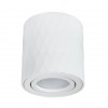 ARTE LAMP FANG A5559PL-1WH