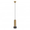 ARTE LAMP RAN A3147SP-1PB