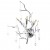 Divinare SALICE 3132/26 AP-3 Divinare SALICE 3132/26 AP-3