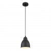 ARTE LAMP BRACCIO A2054SP-1BK