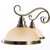 Подвесная люстра ARTE LAMP SAFARI A6905LM-5AB
