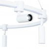 Подвесная люстра ARTE LAMP RING A2186SP-1WH
