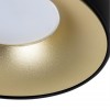 ARTE LAMP HEZE A6666PL-1BK