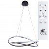 Подвесная люстра ARTE LAMP SWING A2522SP-2BK