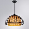 ARTE LAMP WOODSTOCK A7071SP-1BK