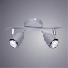 ARTE LAMP REGISTA A1966AP-2GY