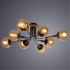 Потолочная люстра ARTE LAMP OXFORD A2716PL-8BK
