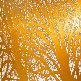 ARTE LAMP CELESTA A2769SP-1BK