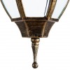 ARTE LAMP PEGASUS A3151SO-1BN