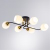 Потолочная люстра ARTE LAMP ANDREA A8141PL-6BK