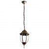 ARTE LAMP PEGASUS A3151SO-1BN