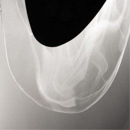 ARTE LAMP LIBERTAS A2096AP-5BK