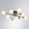 Потолочная люстра ARTE LAMP ANDREA A8141PL-8BK