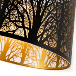 ARTE LAMP CELESTA A2769SP-1BK