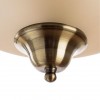 ARTE LAMP SAFARI A6905PL-2AB