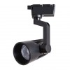 ARTE LAMP WALES A1613PL-1BK