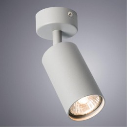 ARTE LAMP AQUARIUS A3216PL-1GY