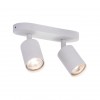 ARTE LAMP AQUARIUS A3226PL-2WH