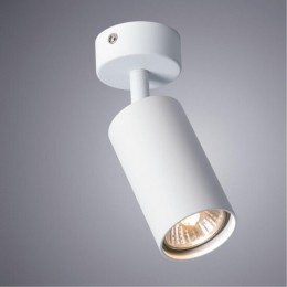 ARTE LAMP AQUARIUS A3216PL-1WH