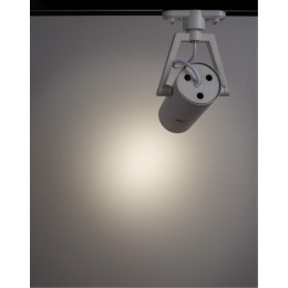 ARTE LAMP NOSTRO A6210PL-1WH