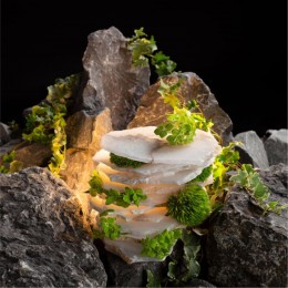 Подвесная люстра Divinare ELEANOR 1713/17 SP-120