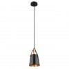 ARTE LAMP THOMAS A7032SP-1BK