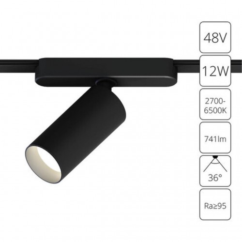 ARTE LAMP RAPID A2958PL-1BK