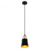 ARTE LAMP THOMAS A7032SP-1BK