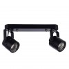 ARTE LAMP MIZAR A1311PL-2BK