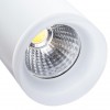 ARTE LAMP HUBBLE A6813PL-1WH