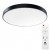 ARTE LAMP ARENA A2673PL-1BK ARTE LAMP ARENA A2673PL-1BK