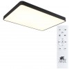 ARTE LAMP SCENA A2662PL-1BK