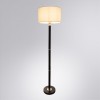 ARTE LAMP ROBERT A5029PN-1SS