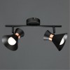 ARTE LAMP BALTIMORE A1406AP-2BK