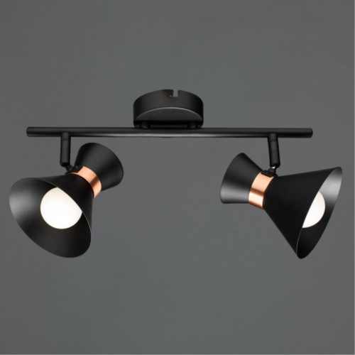 ARTE LAMP BALTIMORE A1406AP-2BK