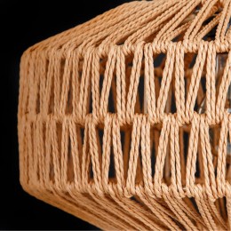 ARTE LAMP BRUSHWOOD A7087SP-1BK