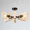 Потолочная люстра ARTE LAMP BRUSSELS A8030PL-6BK