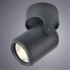 ARTE LAMP LIBRA A3316PL-1BK