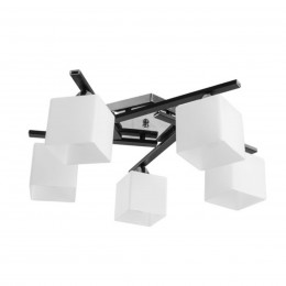 Потолочная люстра ARTE LAMP VISUALE A8165PL-5BK
