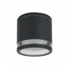 ARTE LAMP NUNKI A1910PF-1BK
