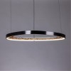 Подвесная люстра ARTE LAMP CINTA A1847SP-36BK