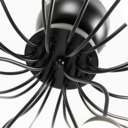 Потолочная люстра ARTE LAMP DEXTER A3619PL-24BK