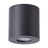 ARTE LAMP GALOPIN A1460PL-1BK