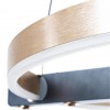 Подвесная люстра ARTE LAMP VERITATE A2221SP-1BR