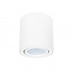 ARTE LAMP BEID A1513PL-1WH