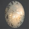 ARTE LAMP ORNAMENT A4120PL-2CC
