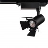 ARTE LAMP FALENA A6709PL-1BK